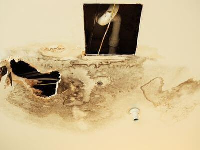 Professional mold removal services in Coachella